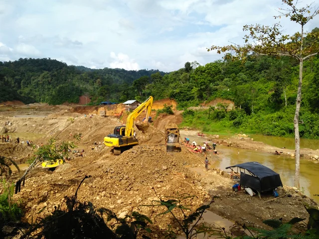 Tambang Emas Liar Menggila di Sumbar: Rp185 Triliun Mengalir, Hutan TNKS Rusak Parah