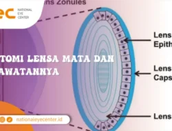 Vision+ Global: Dari Lensa Mata hingga Mobil Alpine, Inilah Terobosan Besar yang Mengubah Cara Kita Melihat Dunia